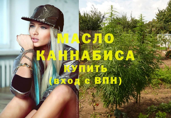 бошки Бронницы