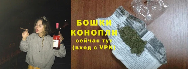 бошки Бронницы
