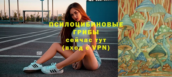 бошки Бронницы