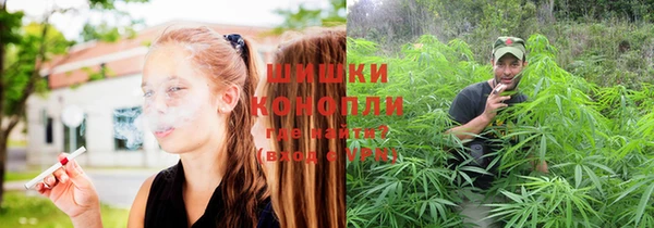 дмт Бугульма
