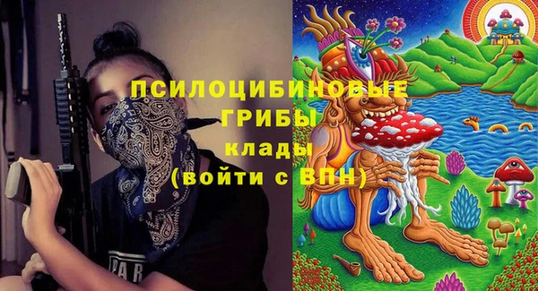 бошки Бронницы