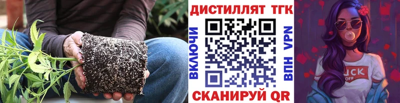 ТГК Wax  что такое   Тюмень 