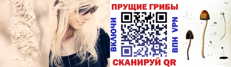 сколько стоит  Тюмень  omg зеркало  Галлюциногенные грибы Cubensis 